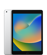 iPad (9th generation)