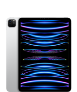 iPad Pro 11-inch (4th generation)