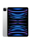 iPad Pro 11-inch (4th generation)