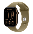 Apple Watch Series 12  
                          