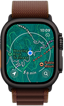 Apple Watch Ultra 4, titanium case, black colour, satellite connection, right side exterior, Digital Crown, raised side button, Alpine Loop strap, burgundy colour