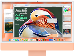 iMac, front exterior, orange color, displaying image editing app with AI tools, and Mail app in the background