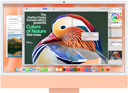 iMac, front exterior, orange color, displaying image editing app with AI tools, and Mail app in the background