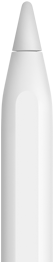 An Apple Pencil showing the tip of the device