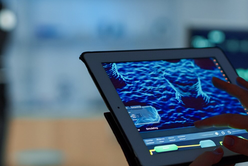 Thermography Service