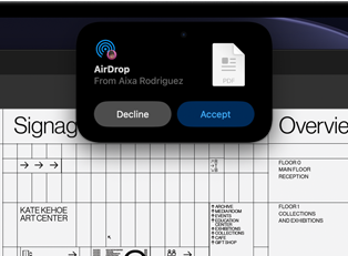 Display shows Dynamic Island with Flighty — Live Flight Tracker with flight details in a small window