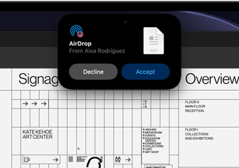 Display shows Dynamic Island with Flighty — Live Flight Tracker with flight details in a small window