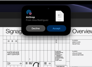 Display shows Dynamic Island with Flighty — Live Flight Tracker with flight details in a small window