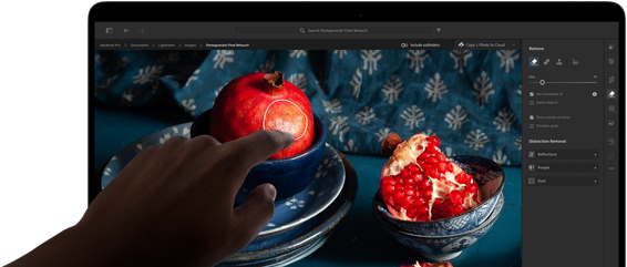 MacBook Pro with PROLED XDR Display with a still life image of pomegranates with blue ceramics and textiles, a hand reaches toward the screen to interact with the art
