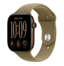 Apple Watch Series 12